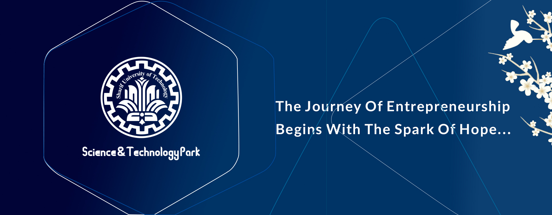 The journey of entrepreneurship